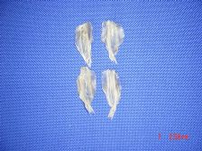 Dried white sardine(HIMEGO)